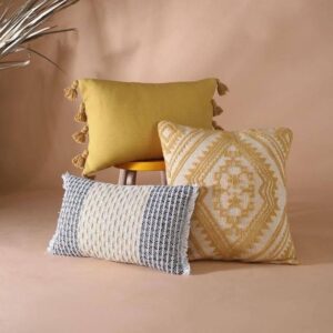 Ultimate Cushion Cleaning